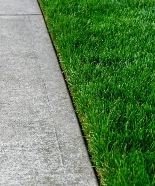 A sidewalk highlighting lush green grass growing with a clean edge