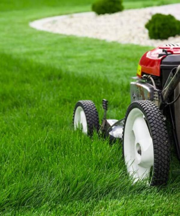 A lush lawn getting mowed on a summer day