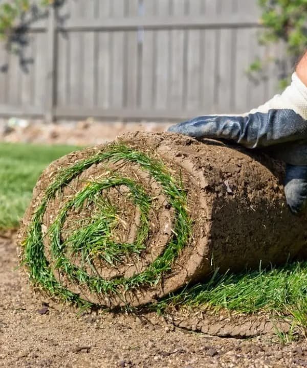 A person unrolling fresh sod for a new lawn